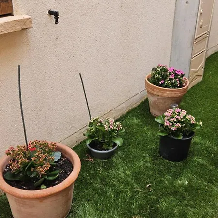 公寓 Eureka T2 Proche Du Camp 阿格德